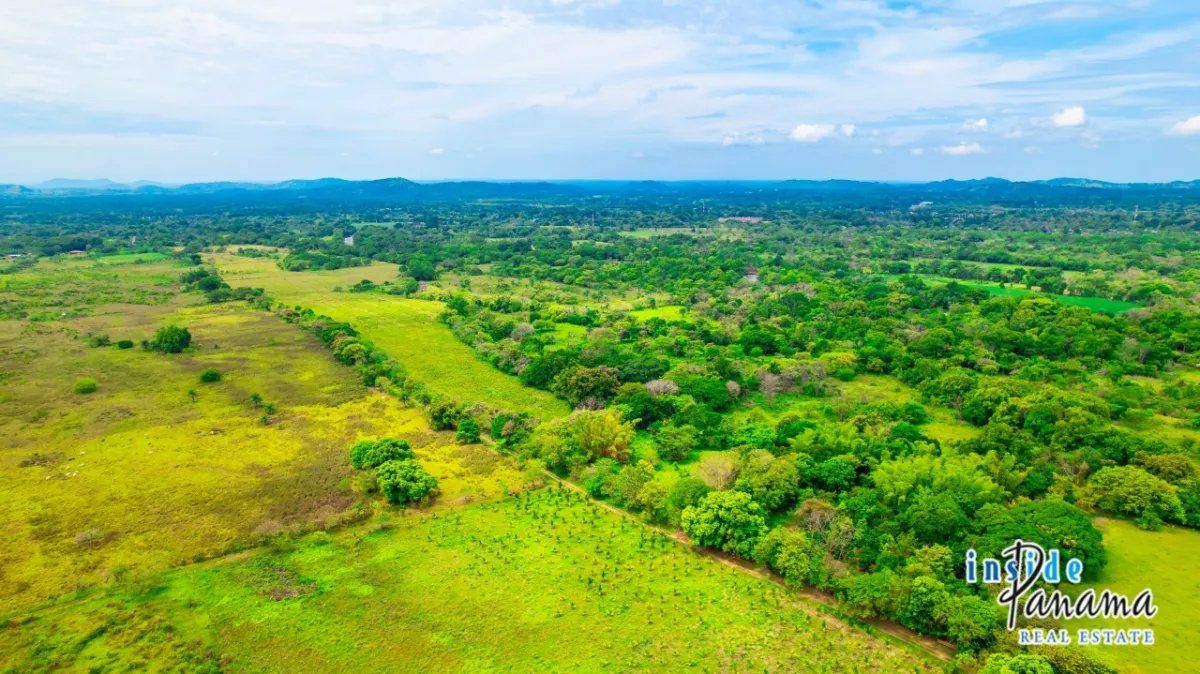 Terreno à Venda em Boquete