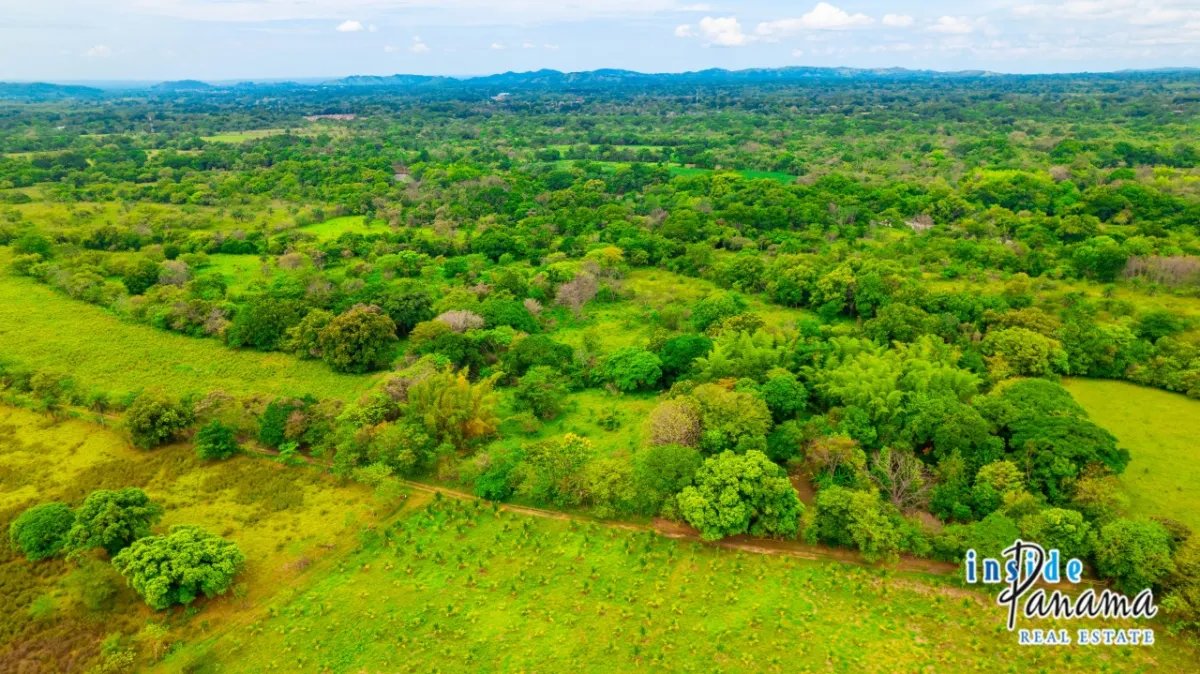 Terreno à Venda em Boquete