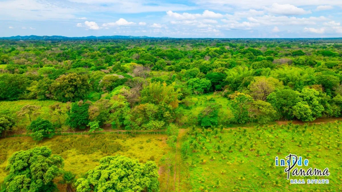 Terreno à Venda em Boquete