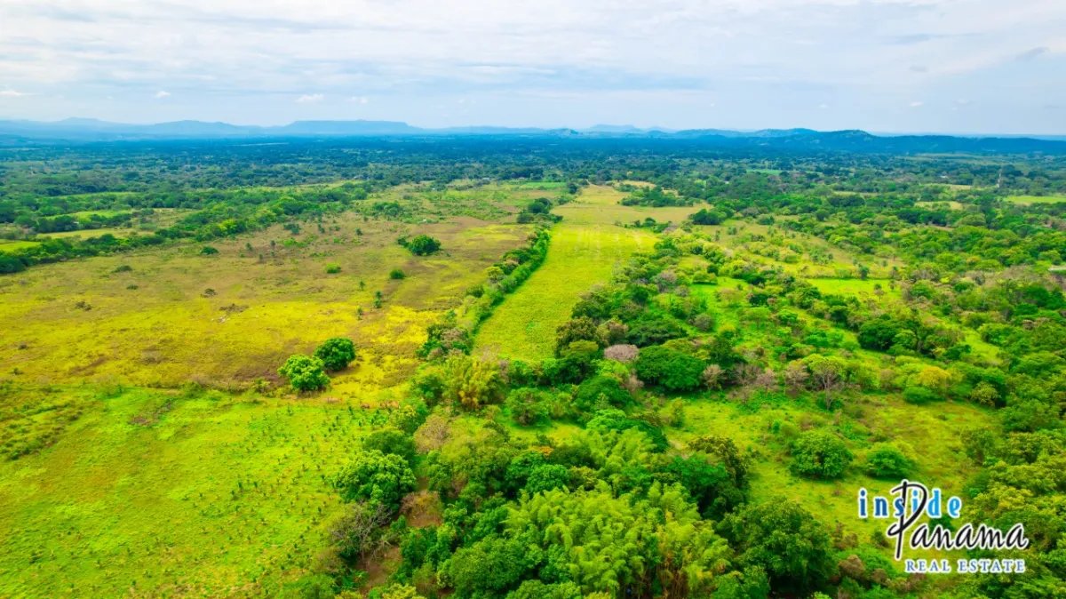 Terreno à Venda em Boquete