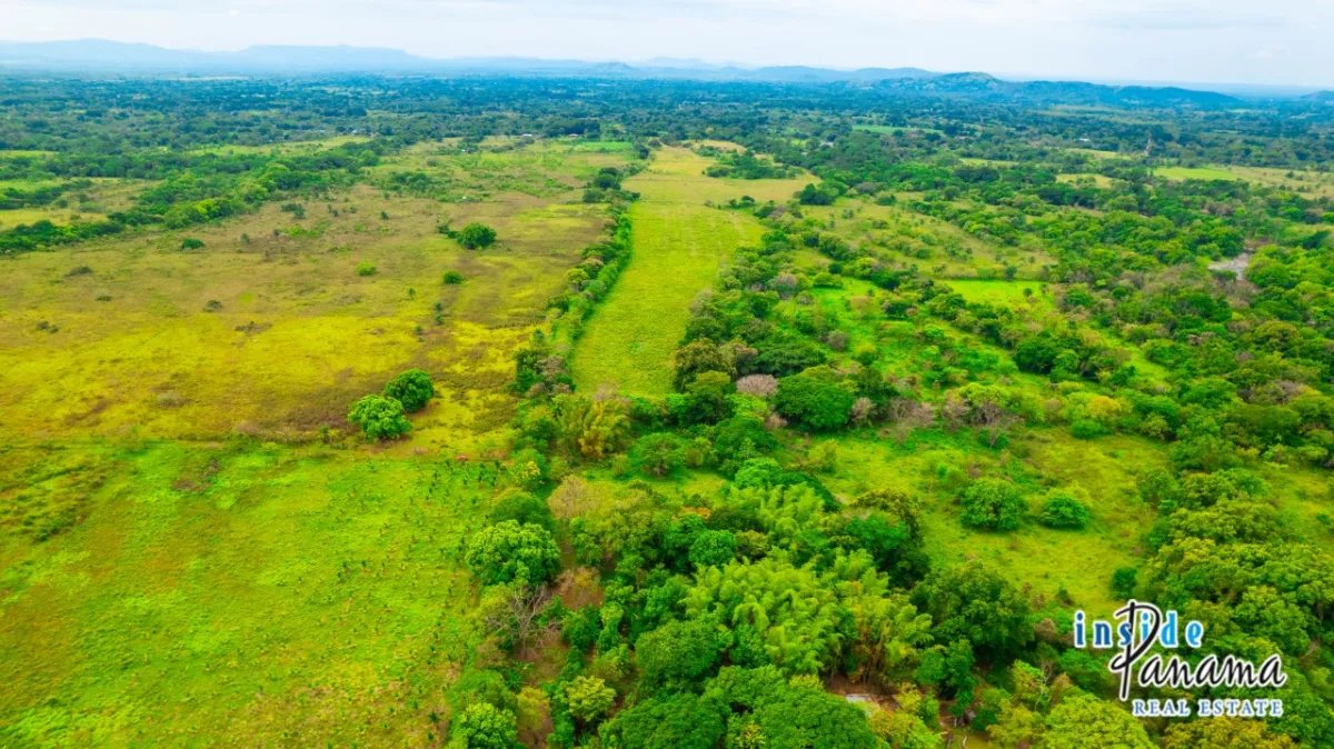 Terreno à Venda em Boquete