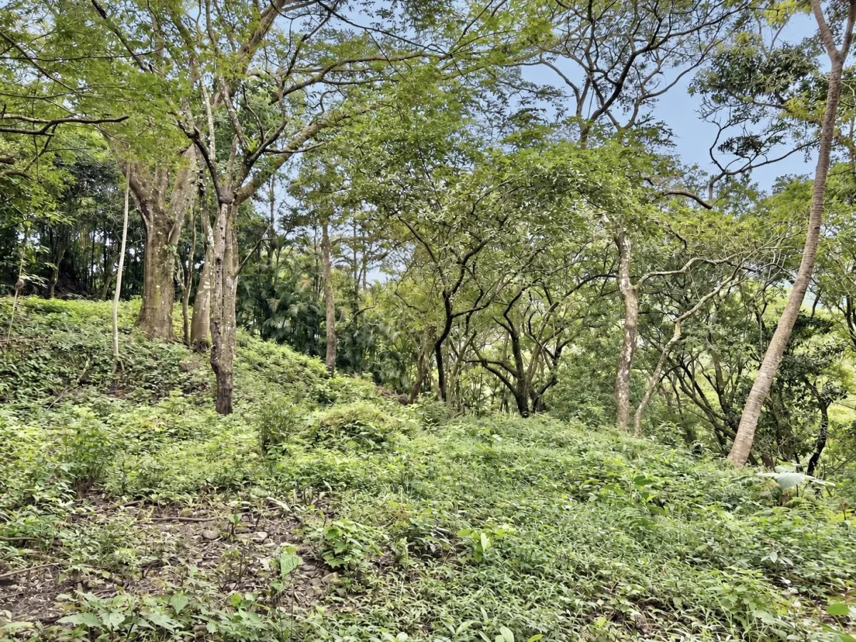 Terreno à Venda em Altos Del Maria