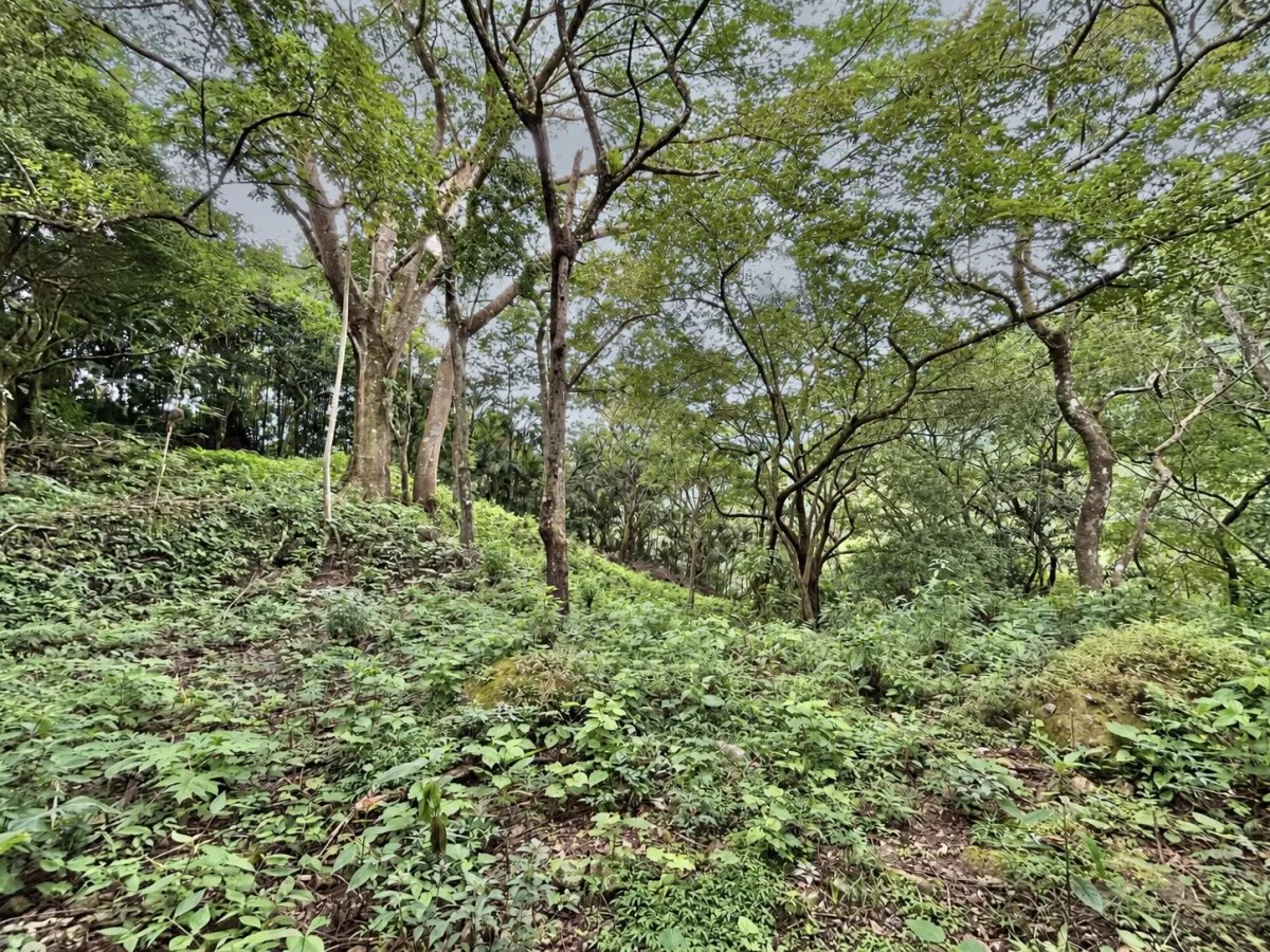 Terreno à Venda em Altos Del Maria