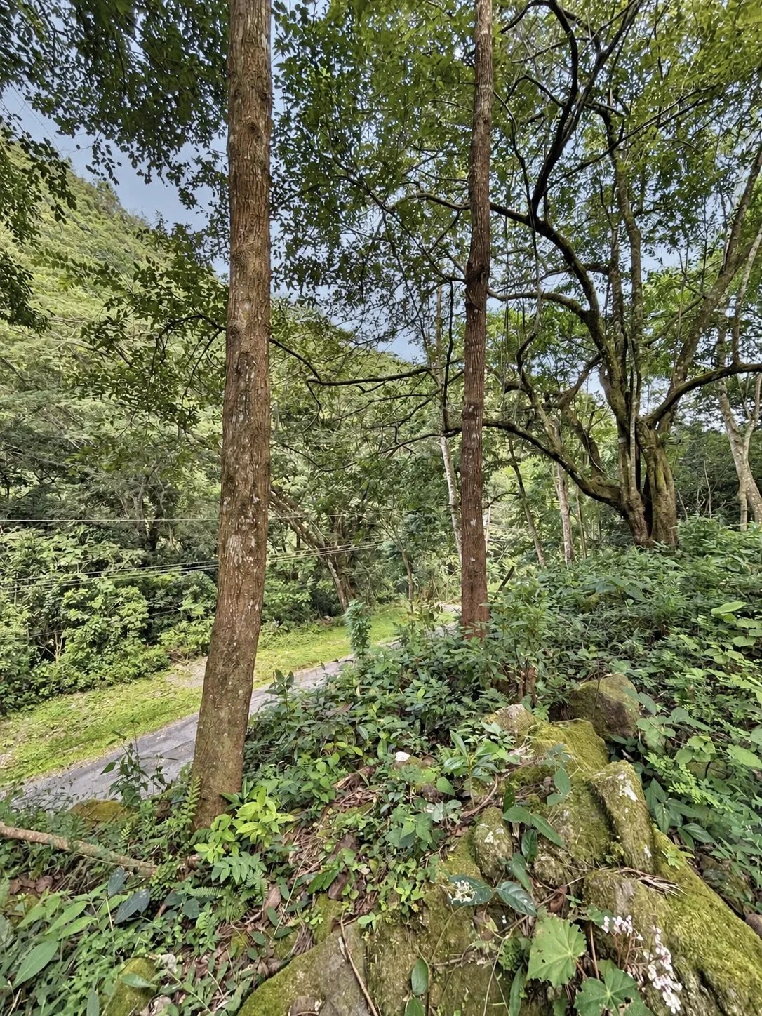 Terreno à Venda em Altos Del Maria