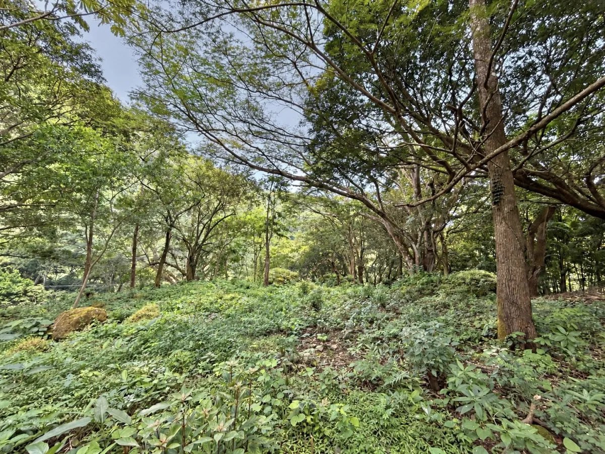 Terreno à Venda em Altos Del Maria