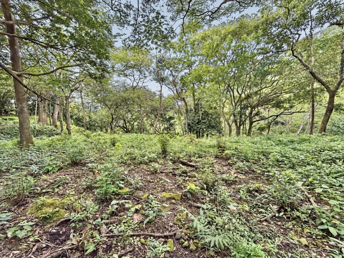 Terreno à Venda em Altos Del Maria