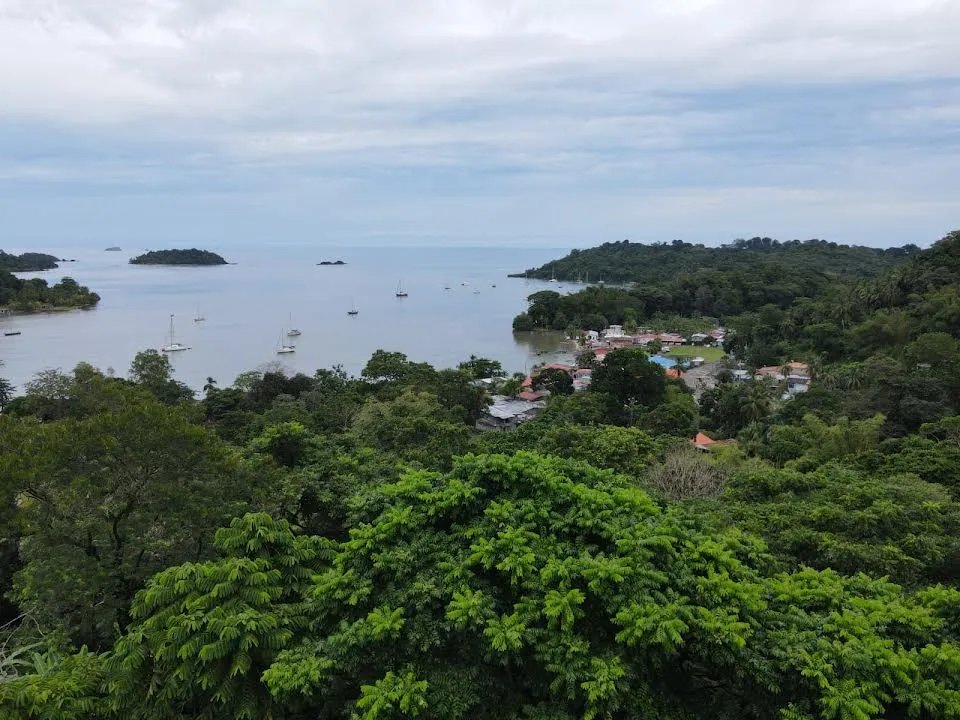 TERRENO DE 8 HECTÁREAS EN VENTA CERCA DE ISLA GRANDE, COLÓN, PANAMÁ