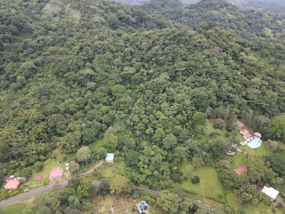 TERRENO DE 8 HECTÁREAS EN VENTA CERCA DE ISLA GRANDE, COLÓN, PANAMÁ