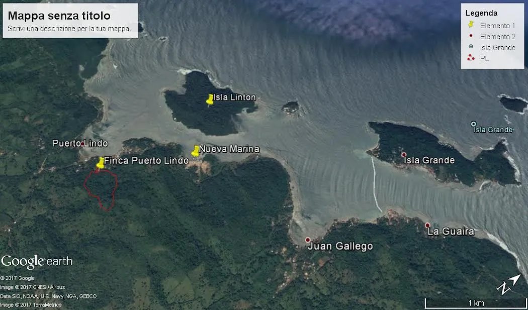 TERRENO DE 8 HECTÁREAS EN VENTA CERCA DE ISLA GRANDE, COLÓN, PANAMÁ