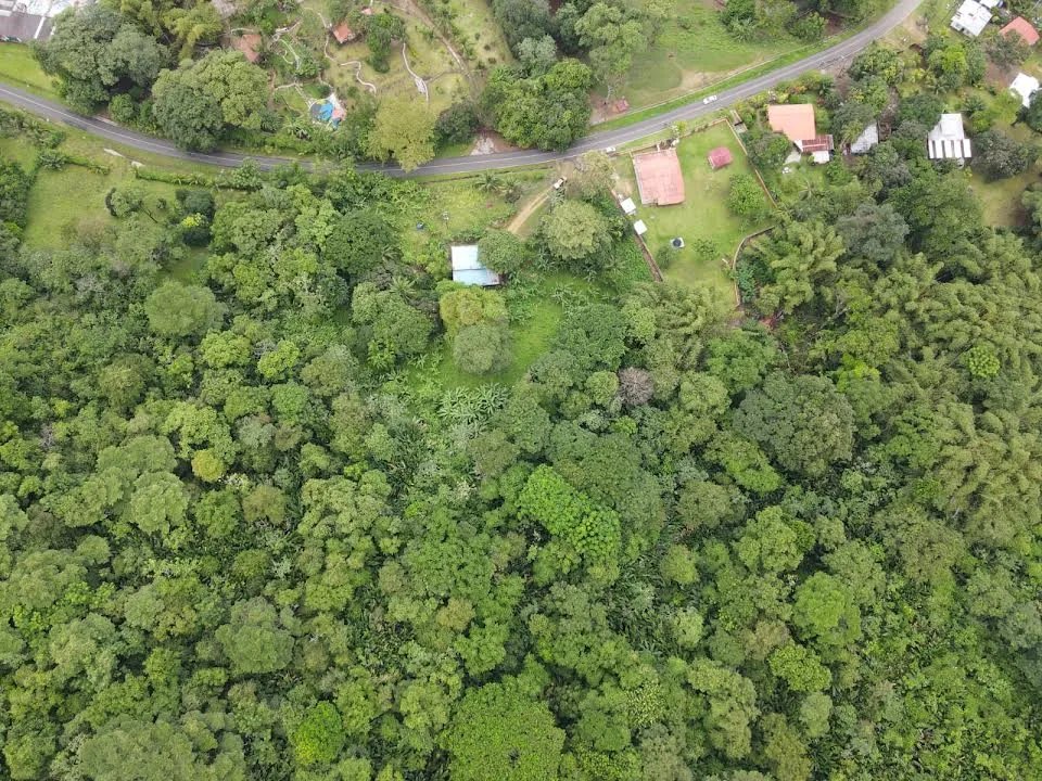 TERRENO DE 8 HECTÁREAS EN VENTA CERCA DE ISLA GRANDE, COLÓN, PANAMÁ