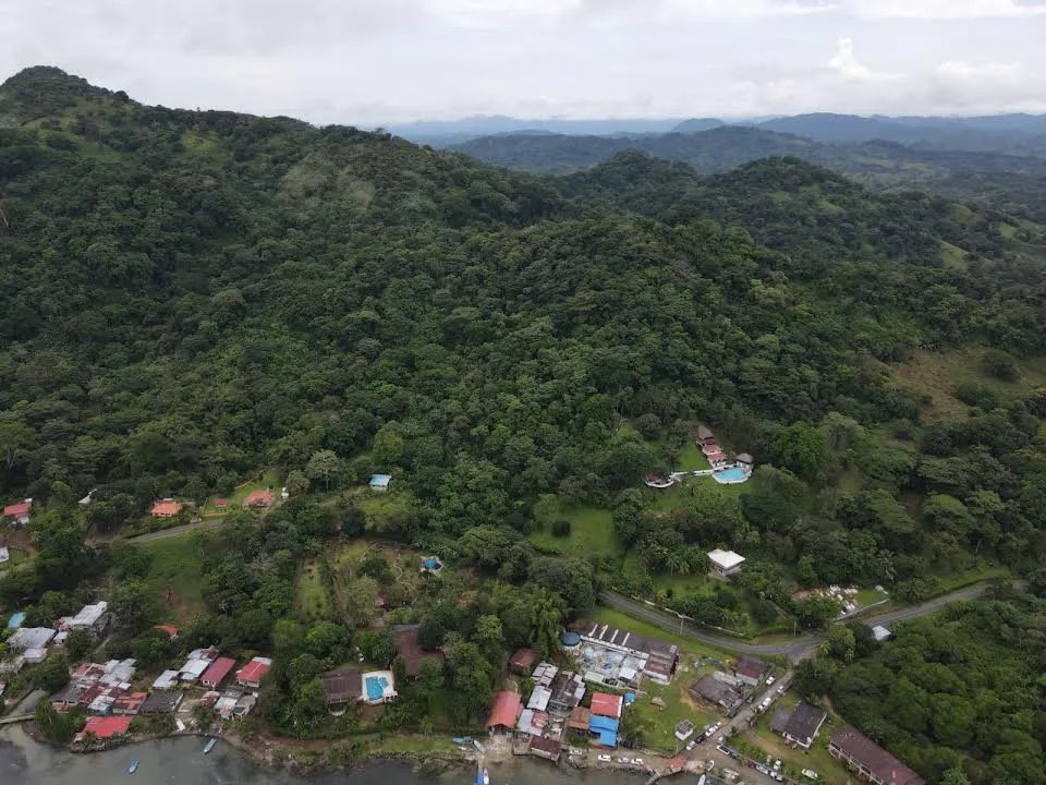 TERRENO DE 8 HECTÁREAS EN VENTA CERCA DE ISLA GRANDE, COLÓN, PANAMÁ