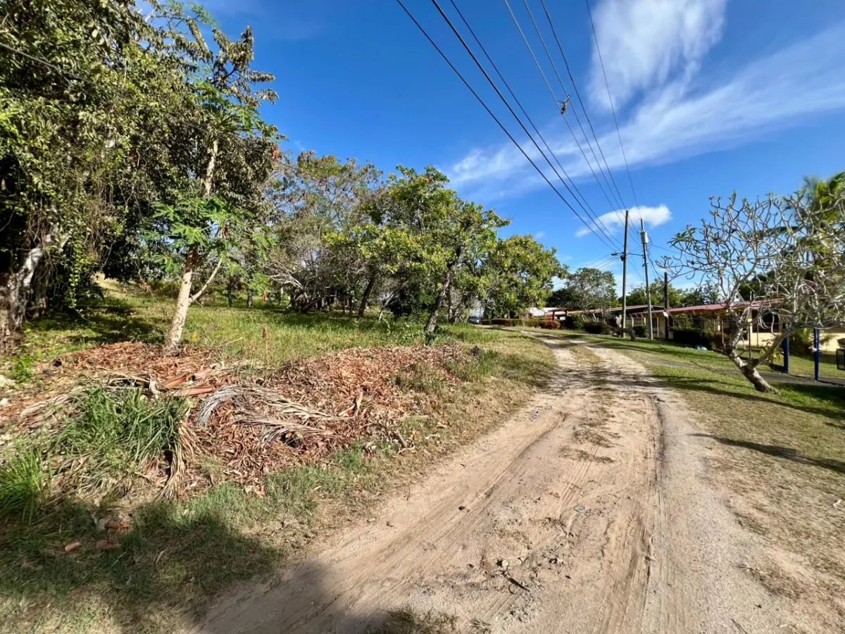 Terreno à Venda em San Carlos