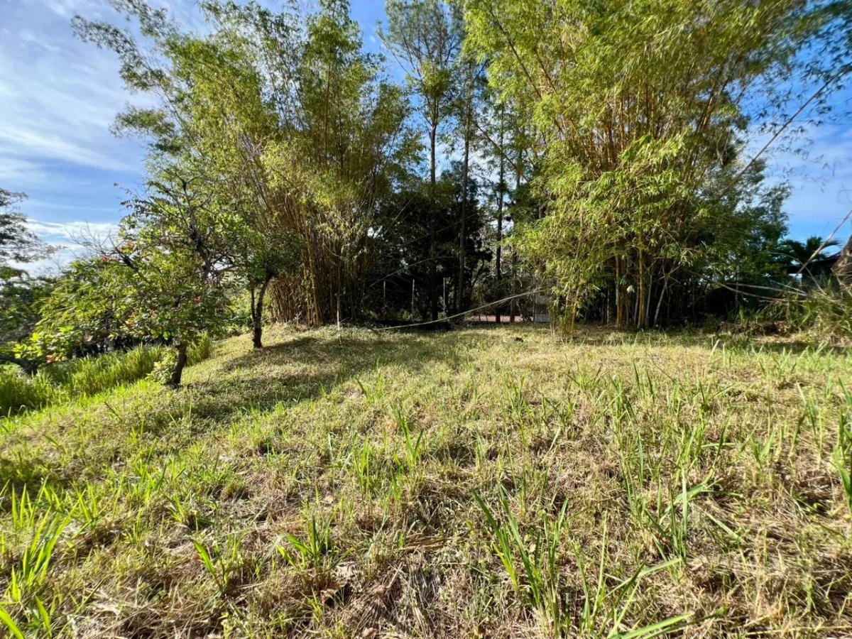 Terreno à Venda em San Carlos