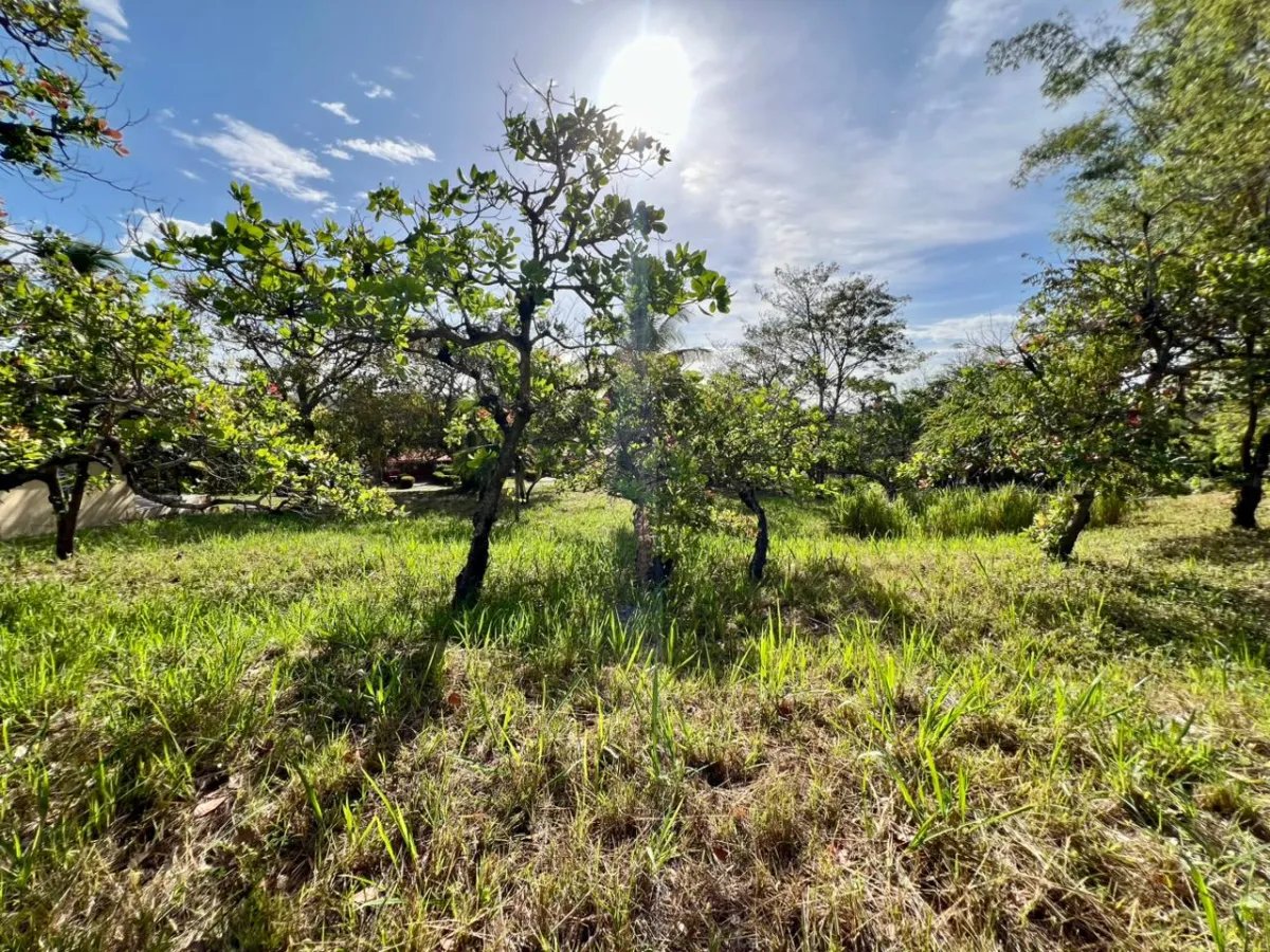 Terreno à Venda em San Carlos