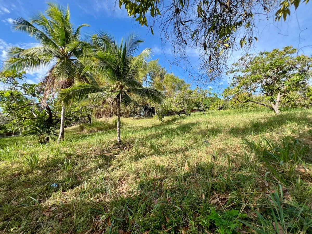 Terreno à Venda em San Carlos