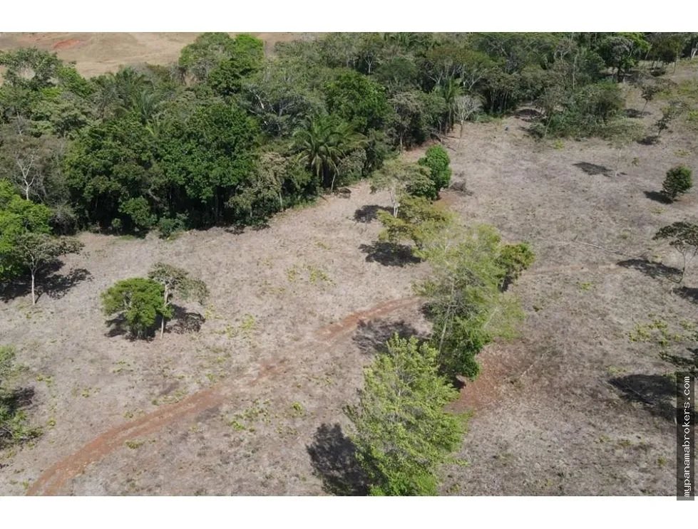 Sale of Farm in Santa Rita, La Chorrera
