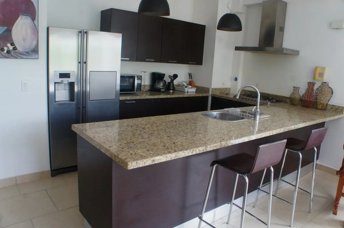 Furnished Apartment for Rent in Panama Pacifico - P.H. Soleo