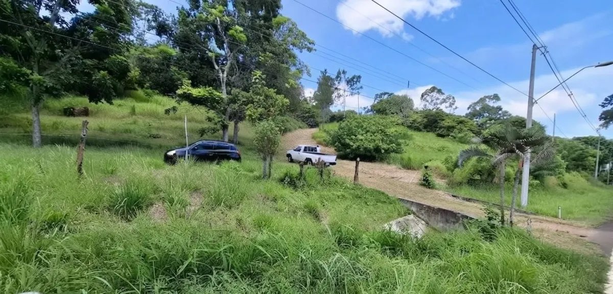 BEJUCO / CHAME - 5 HECTARE LAND FOR SALE