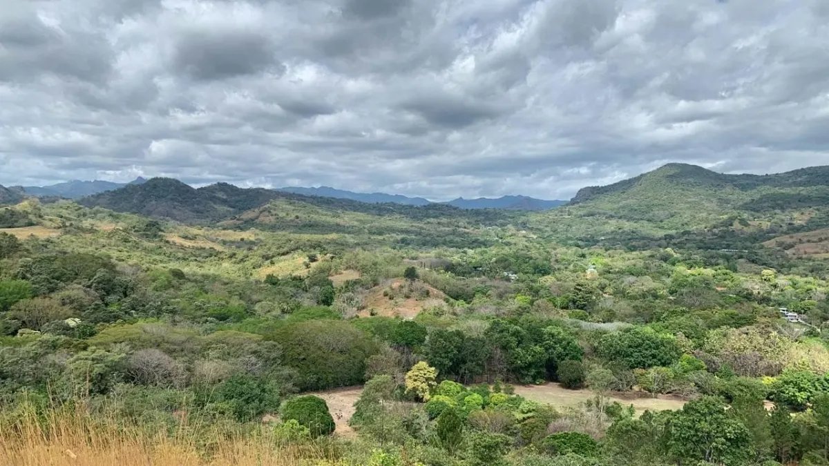 BEJUCO / CHAME - 5 HECTARE LAND FOR SALE