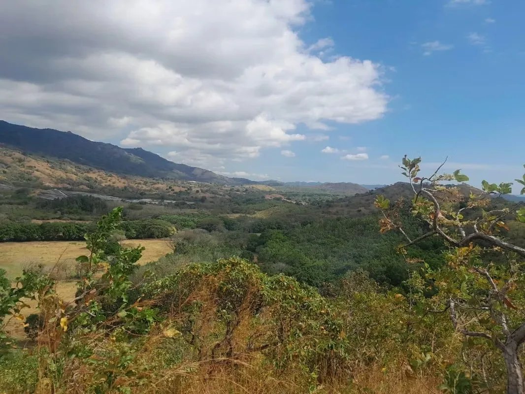 BEJUCO / CHAME - 5 HECTARE LAND FOR SALE