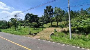 BEJUCO / CHAME - 5 HECTARE LAND FOR SALE