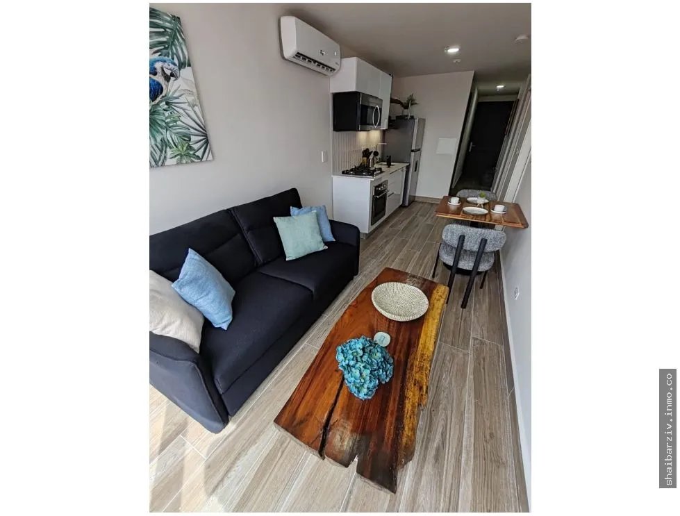 EN VENTA LINDO APARTAMENTO EN PH CASCO VIEW, SANTA ANA