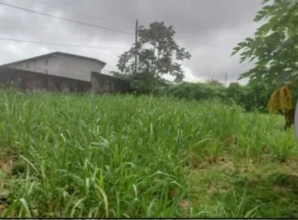 VENTA DE TERRENO EN RÍO ABAJO, ZONIFICACION 1R4/R4