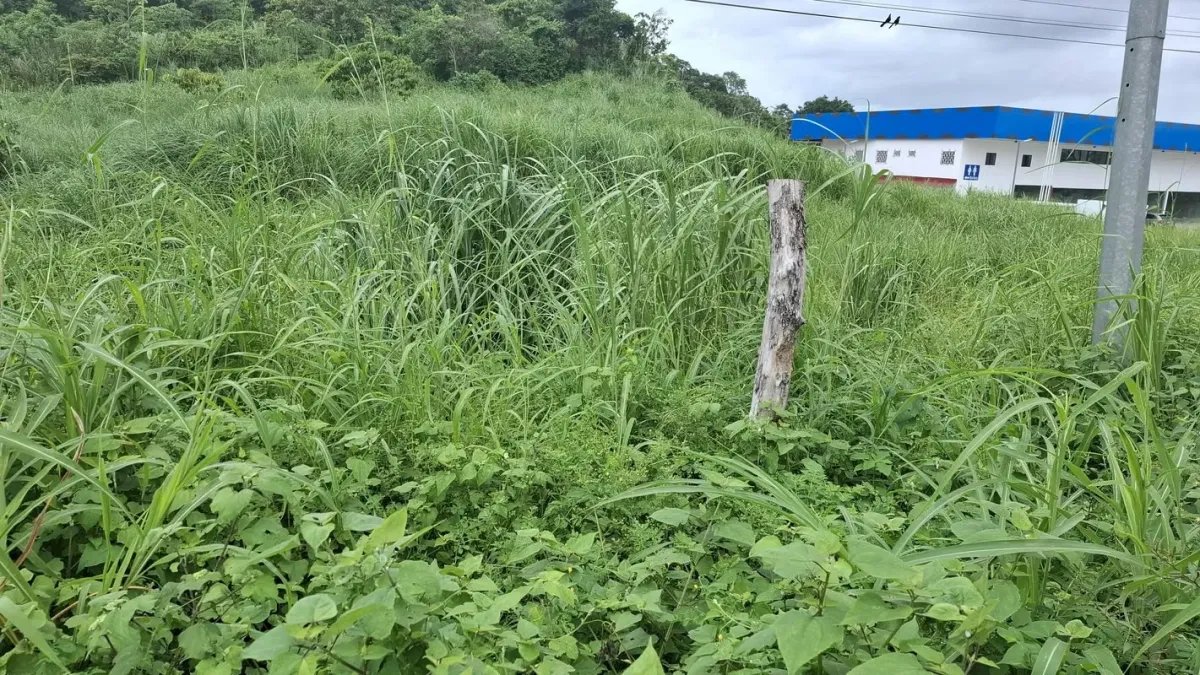 VIA INTERAMERICANA - CACERES, ARRAIJAN TERRENO EN VENTA
