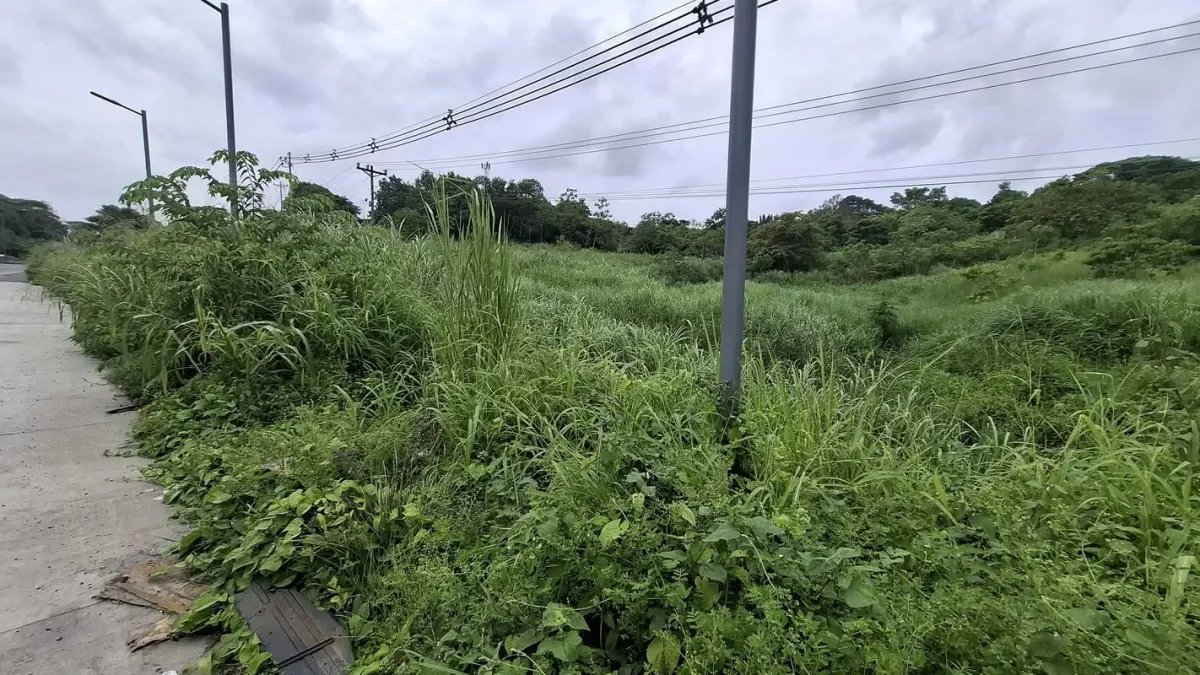VIA INTERAMERICANA - CACERES, ARRAIJAN TERRENO EN VENTA