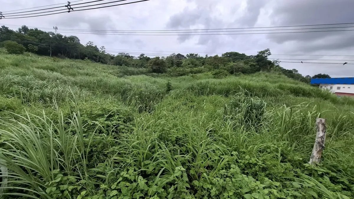 VIA INTERAMERICANA - CACERES, ARRAIJAN TERRENO EN VENTA