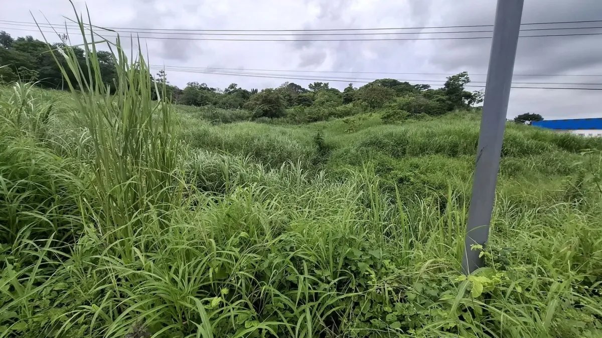 VIA INTERAMERICANA - CACERES, ARRAIJAN TERRENO EN VENTA