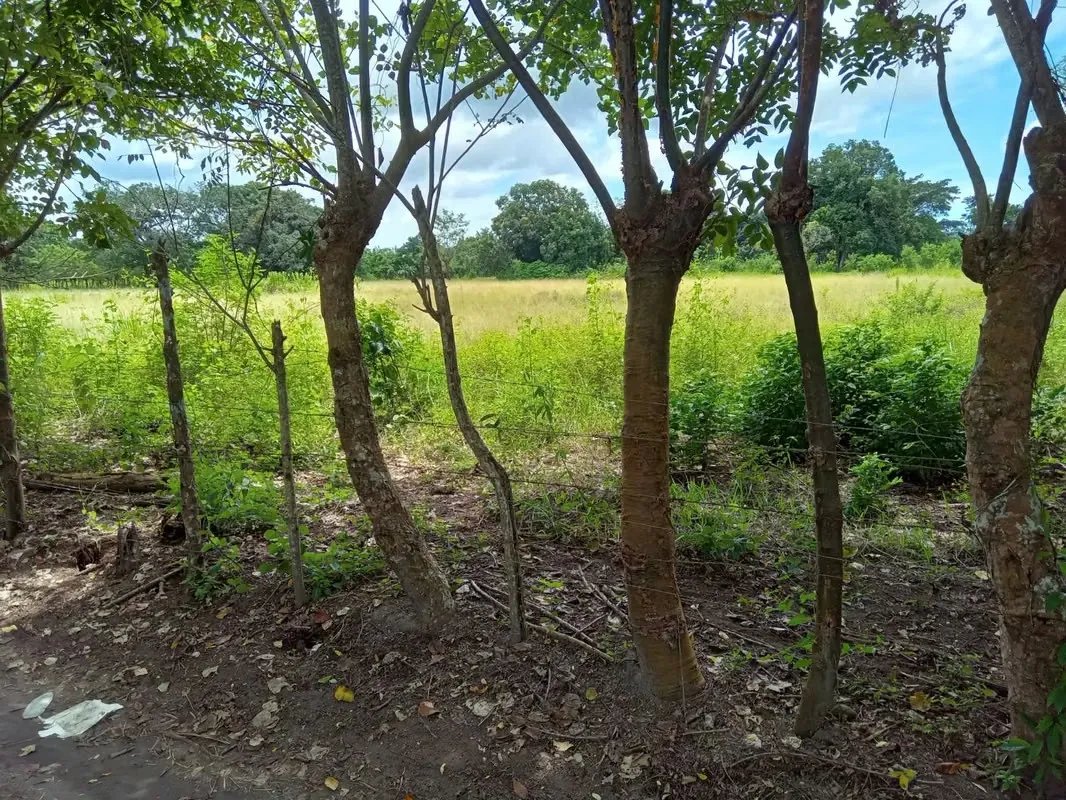 ALANJE / EL TEJAR CHIRIQUÍ VENDO TERRENO