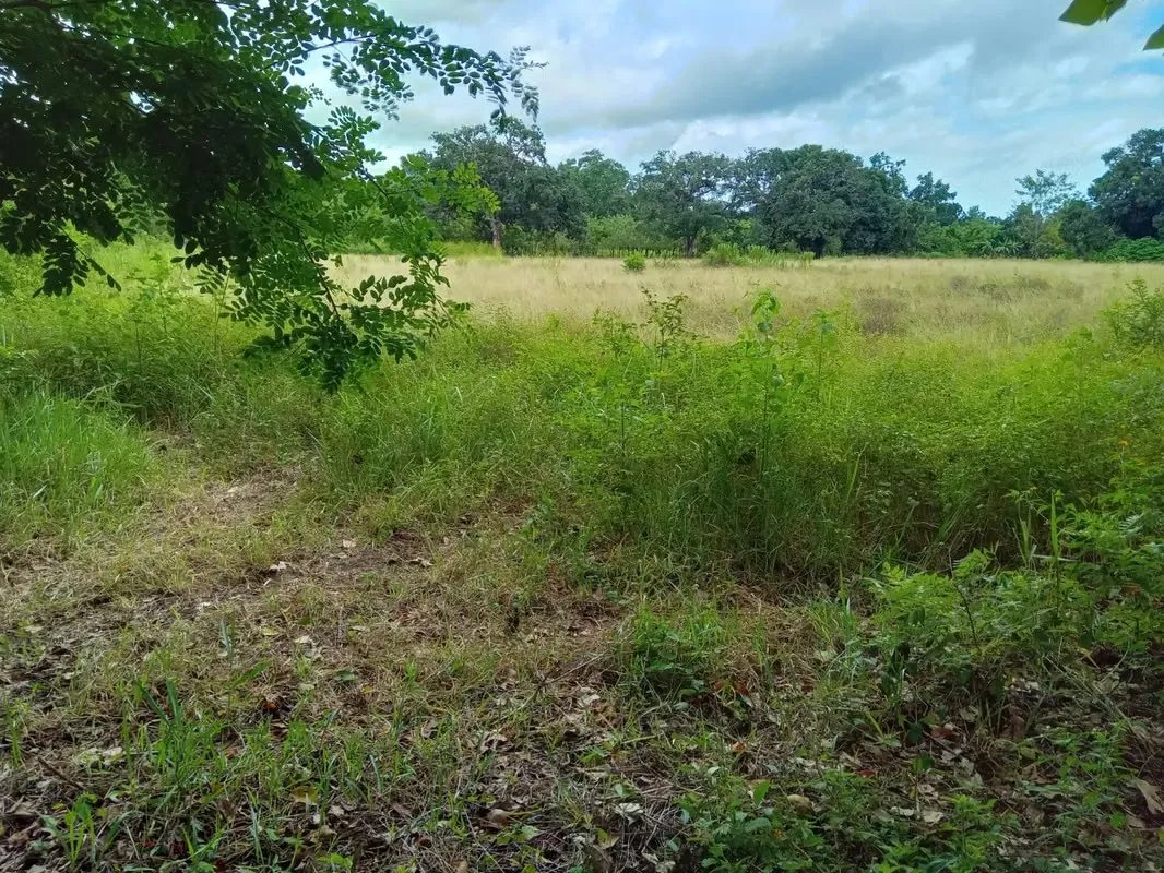 ALANJE / EL TEJAR CHIRIQUÍ VENDO TERRENO
