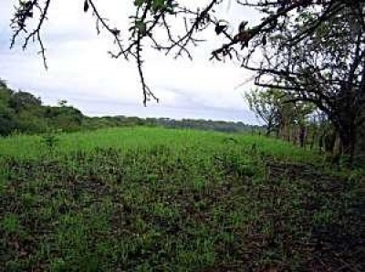 1649 - San carlos - lots