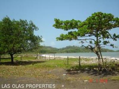 1650 - Portobelo - lots