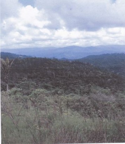 16502 - Cerro azul - fincas