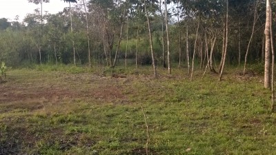 17792 - La Chorrera - lots