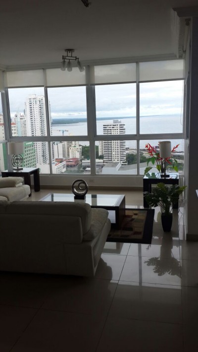 18006 - San francisco - apartments - mandarin bay