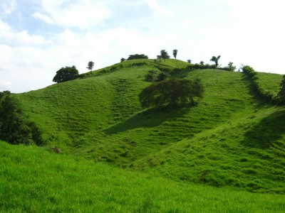 19816 - Tonosí - fincas