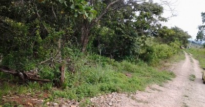 21018 - La Chorrera - lots