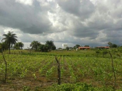 21137 - Santiago de Veraguas - farms
