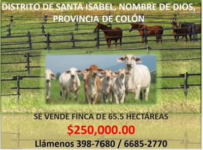 21237 - Nombre de dios - farms