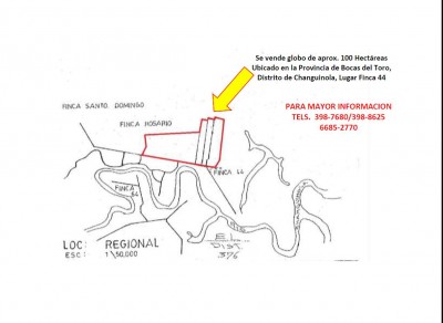 21821 - Changuinola - lotes