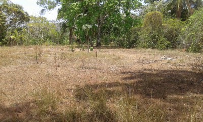 21848 - La Chorrera - lots