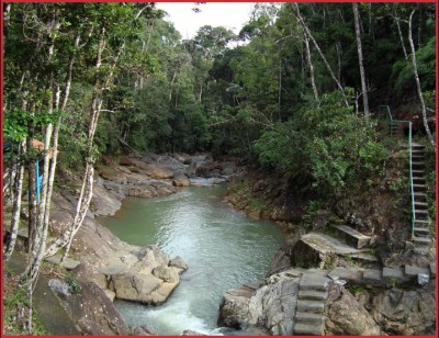 22267 - Cerro azul - lotes - altos de cerro azul