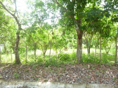 22456 - El valle de anton - lots