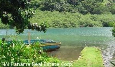 2336 - Portobelo - lots