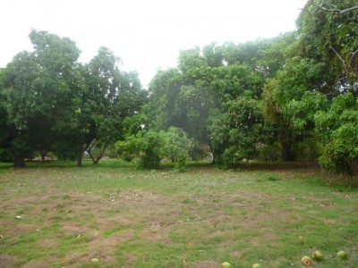 23608 - Coronado - lots
