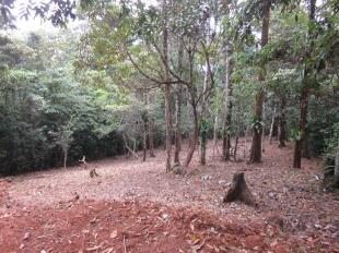 23707 - Ciudad de Panamá - lotes - altos de cerro azul