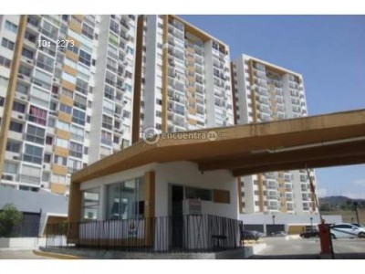 23803 - San Miguelito - apartamentos - ph alsacia towers